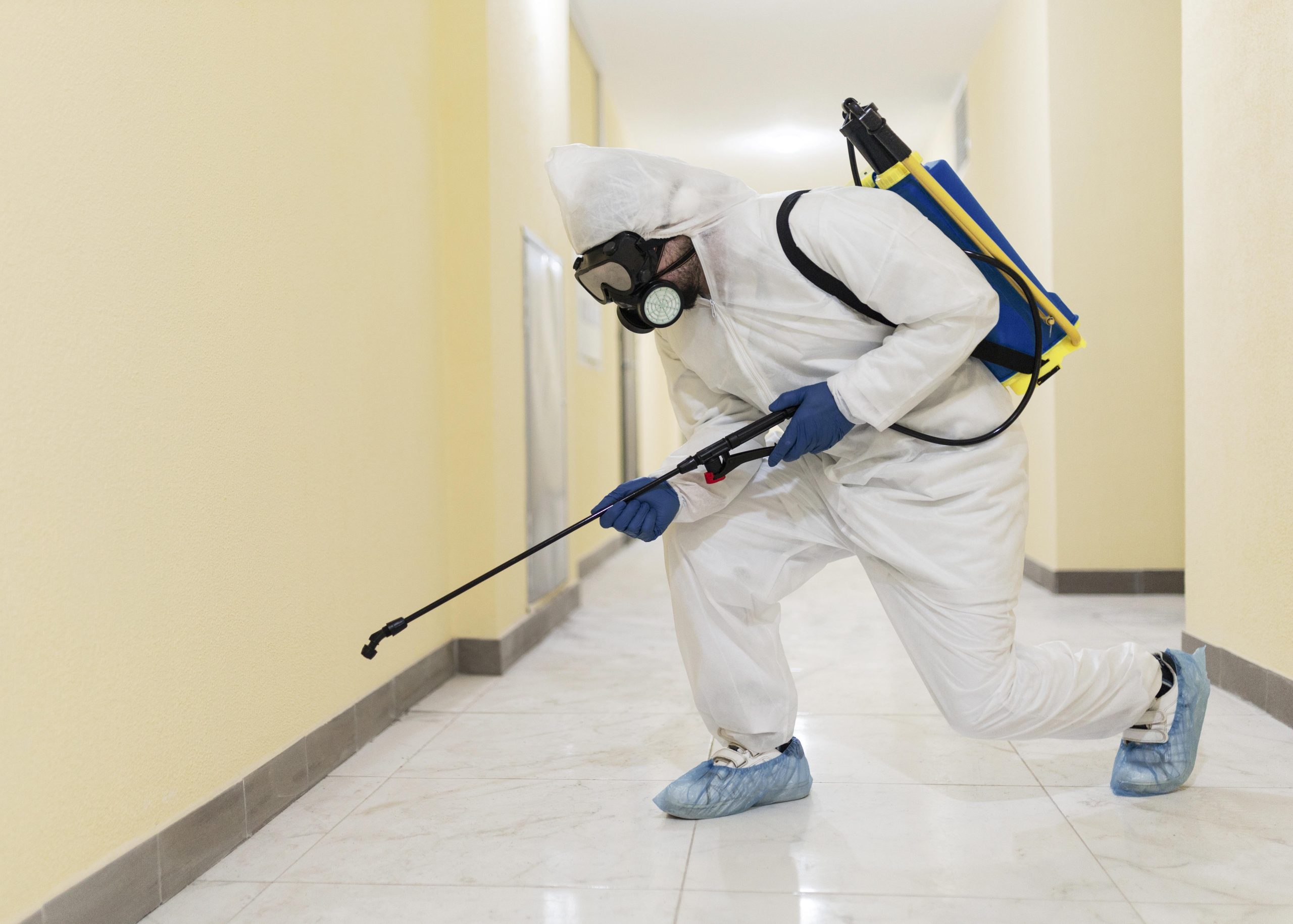 Pest Control Services In Lahore