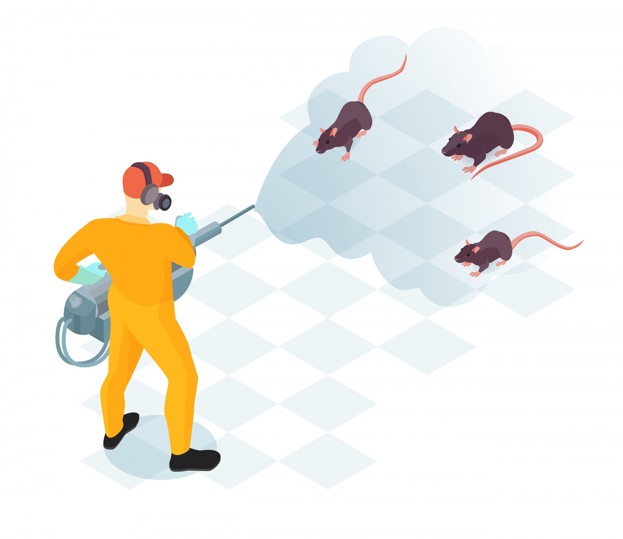 Rat Pest Control Services: Rodents at Rat Control Methods