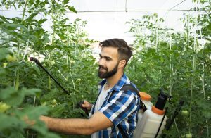 Agricultural Pest Control Service: Protect Your Farming Today