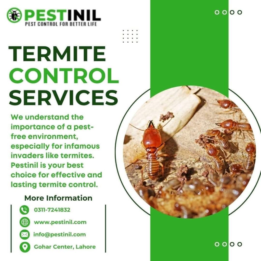 Termite Control Services