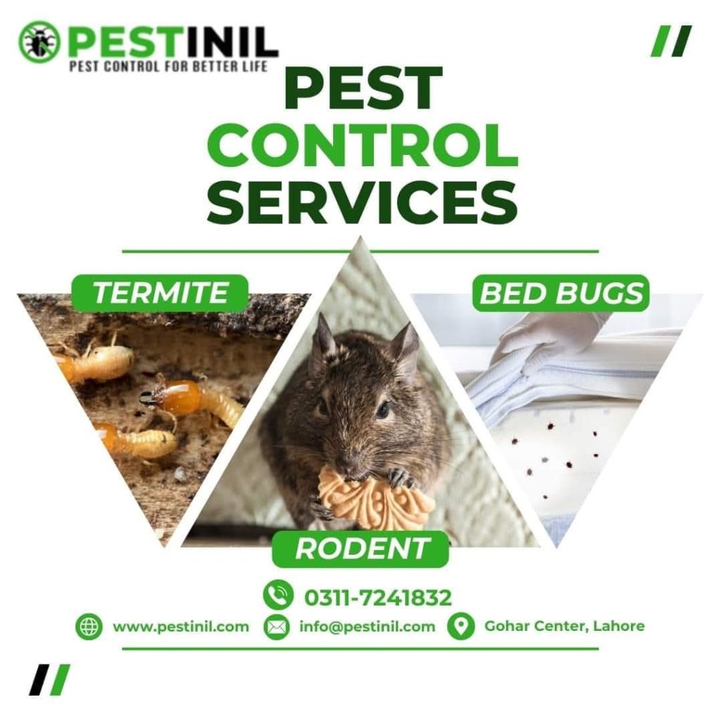 Pest Control Services